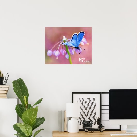 Poster Papillon Azure (Bureau à domicile)