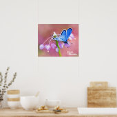 Poster Papillon Azure (Cuisine)