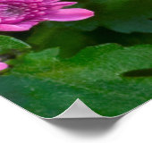 Poster Papillon Baltimore À damiers (Coin)