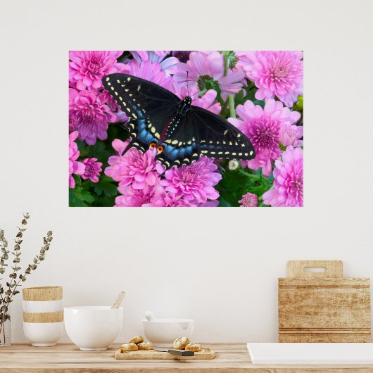 Poster Papillon Baltimore À damiers (Cuisine)