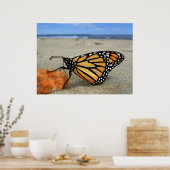 Poster Papillon Beached par TDGallery (Cuisine)