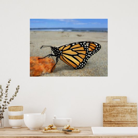 Poster Papillon Beached par TDGallery (Cuisine)
