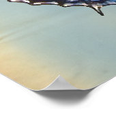 Poster Papillon bleu (Coin)