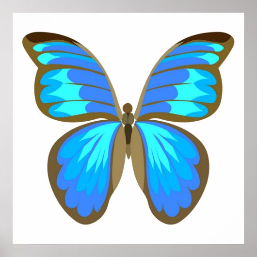 Poster Papillon bleu (Devant)