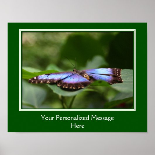 Poster Papillon bleu Créez votre propre devis (Devant)