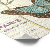 Poster Papillon bleu et Brown (Coin)