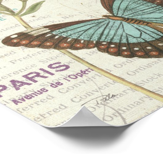 Poster Papillon bleu et Brown (Coin)