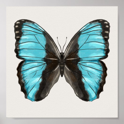 Poster Papillon bleu Insect Art Amour de la nature (Devant)