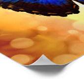 Poster Papillon bleu Morpho (Coin)