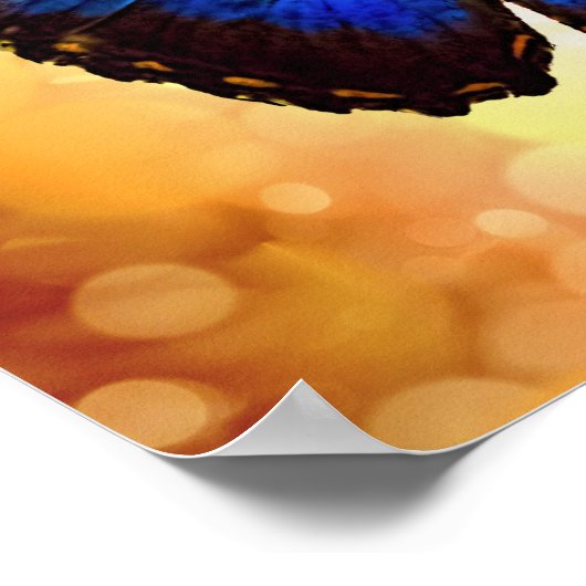 Poster Papillon bleu Morpho (Coin)