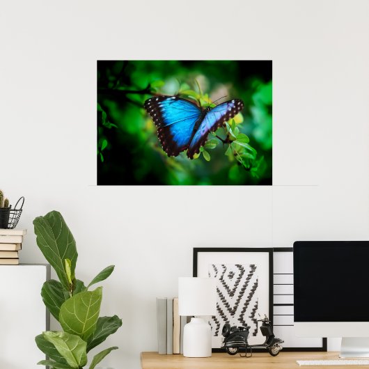Poster Papillon bleu Morpho (Bureau à domicile)