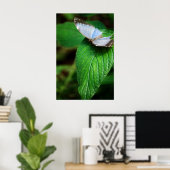 Poster Papillon bleu Morpho 112 Print (Bureau à domicile)