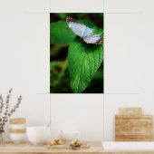 Poster Papillon bleu Morpho 112 Print (Cuisine)