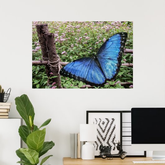 Poster Papillon bleu Morpho Design rustique (Bureau à domicile)