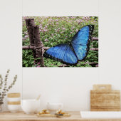 Poster Papillon bleu Morpho Design rustique (Cuisine)