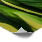 Poster Papillon bleu Morpho Floral Nature Art (Coin)