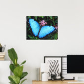 Poster Papillon bleu Morpho Imprimer (Bureau à domicile)