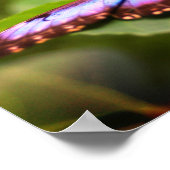 Poster Papillon Bleu Nature Fermer Tint Haut (Coin)