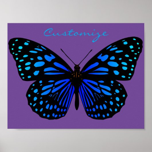 Poster Papillon bleu Thunder_Cove (Devant)