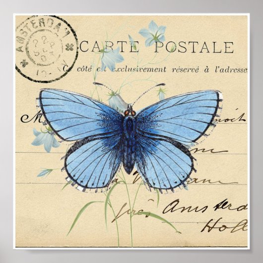 Poster Papillon bleu vintage Carte postale française Impr (Devant)