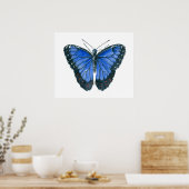 Poster Papillon Blue Morpho peinture à l'aquarelle (Cuisine)