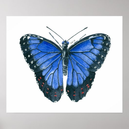 Poster Papillon Blue Morpho peinture à l'aquarelle (Devant)