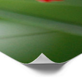 Poster Papillon botanique (Coin)