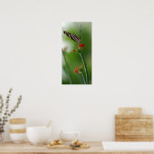 Poster Papillon botanique (Cuisine)