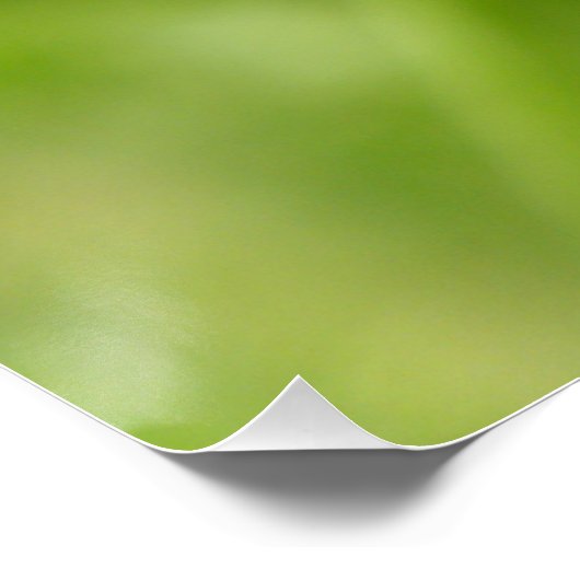 Poster Papillon Brown de prairie (Coin)