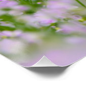 Poster Papillon Chien Cute Romantique Portrait Photo - (Coin)