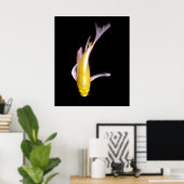 Poster Papillon citron Koi (Bureau à domicile)