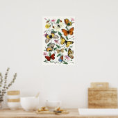 Poster Papillon coloré Dessin d'art (Cuisine)