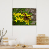 Poster Papillon Comma dans le parc national des Glaciers (Cuisine)