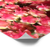 Poster Papillon Comma sur Sedum (Coin)