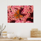 Poster Papillon Comma sur Sedum (Cuisine)