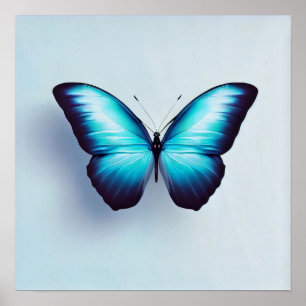 Poster Papillon contre l'Arrière - plan blanc