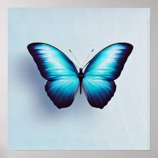 Poster Papillon contre l'Arrière - plan blanc (Devant)