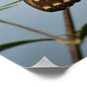 Poster Papillon dans le ciel (Coin)