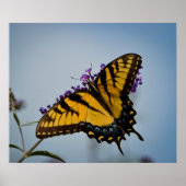 Poster Papillon dans le ciel (Devant)