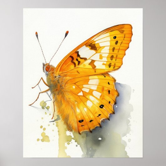 Poster Papillon d'art en soufre orange (Devant)