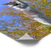 Poster - Papillon de chasse aux chats (Coin)