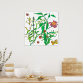 Poster Papillon de coccinelle Plante de jardin (Cuisine)