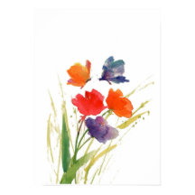 papillon de couleur d'eau