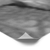 Poster Papillon de couleur ponctuelle (Coin)