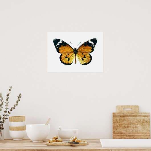 Poster Papillon de Danaus (Cuisine)