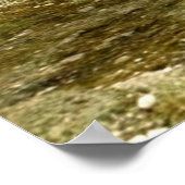 Poster Papillon de fée (Coin)