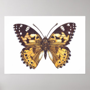 Poster Papillon de femme peint