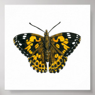 Poster Papillon de femme peint