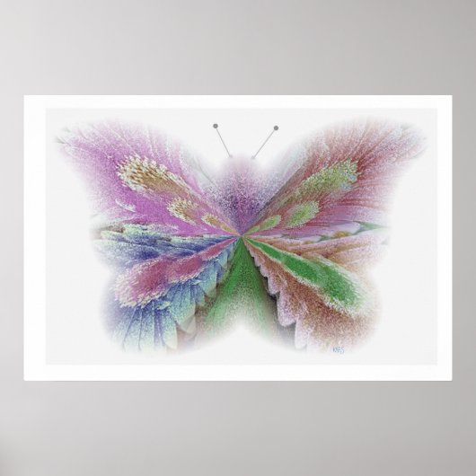 Poster Papillon de fleurs (Devant)