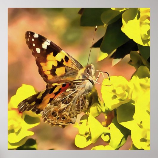 Poster Papillon de la Dame peint sur Myrtle Spurge (Devant)
